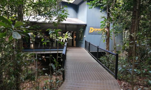 Daintree & Cape Tribulation